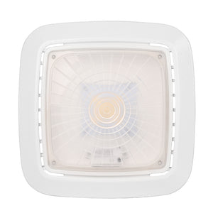 Garage light