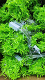Green leaves, rattan strips, copper wire curtains, ivy wicker string lights, hanging plants, fake leaves, balcony walls, decorative light strings