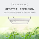 Plant growth lamp